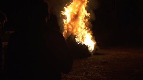Slow Motion Footage Of A Burning Bush