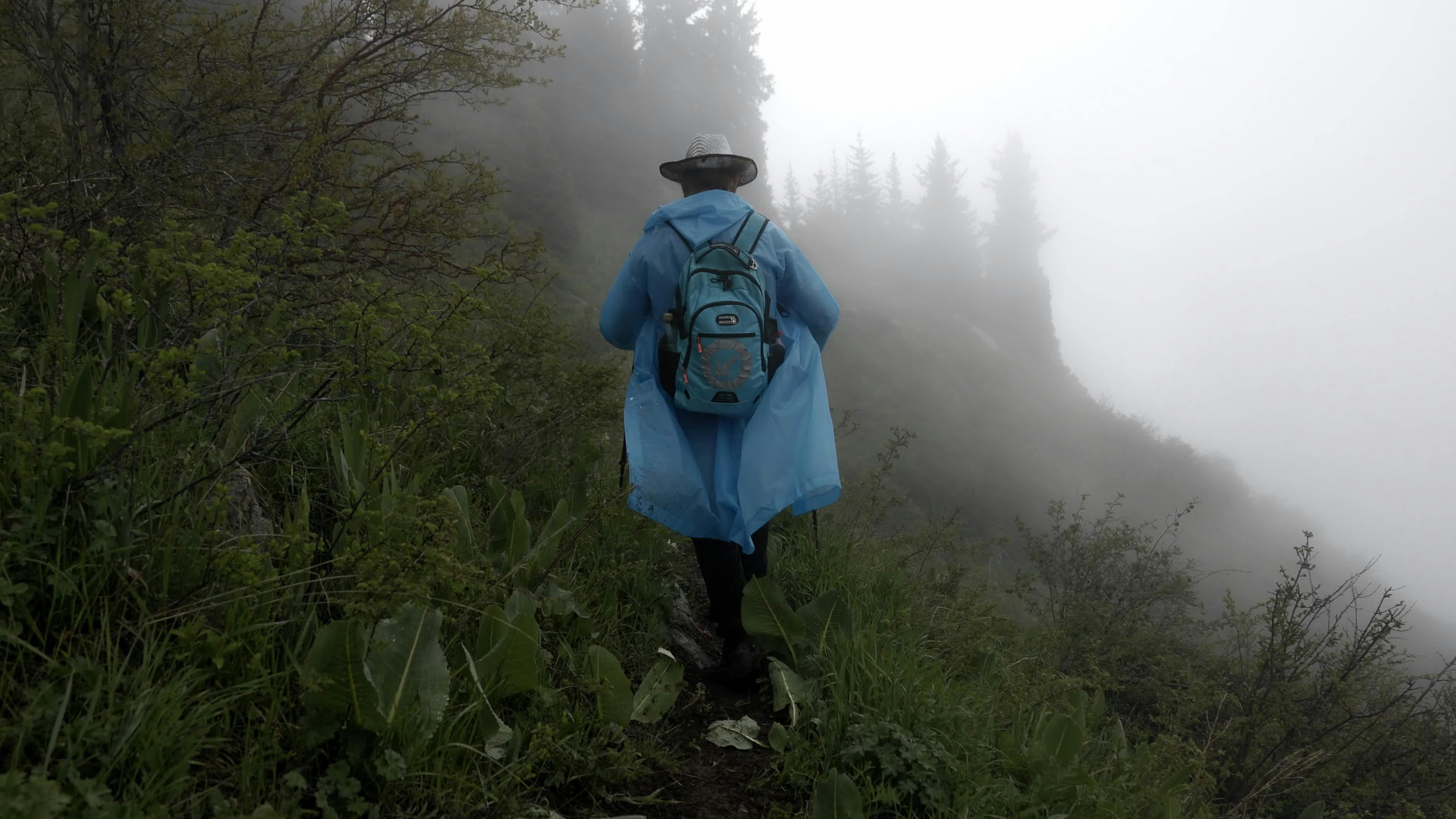 Video by Alexander Buzurnyuk