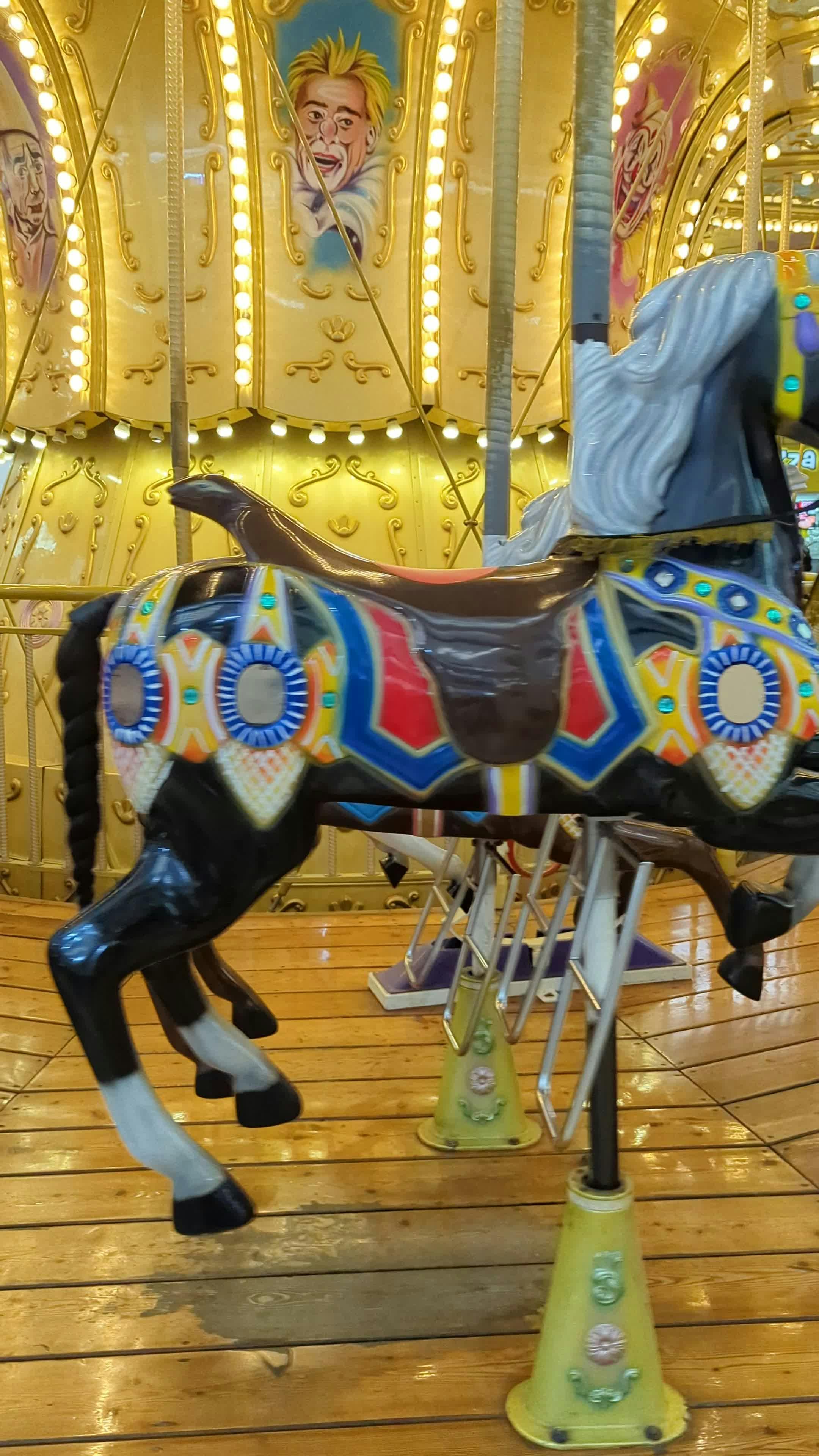 Enchanting Carousel Ride at Night Free Stock Video Footage, Royalty ...