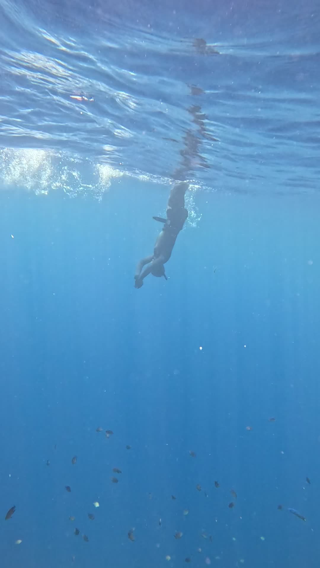 Freediving Free Stock Video Footage Royalty Free 4K HD Video Clip freediving-free-stock-video-footage-royalty-free-4k-hd-video-clip