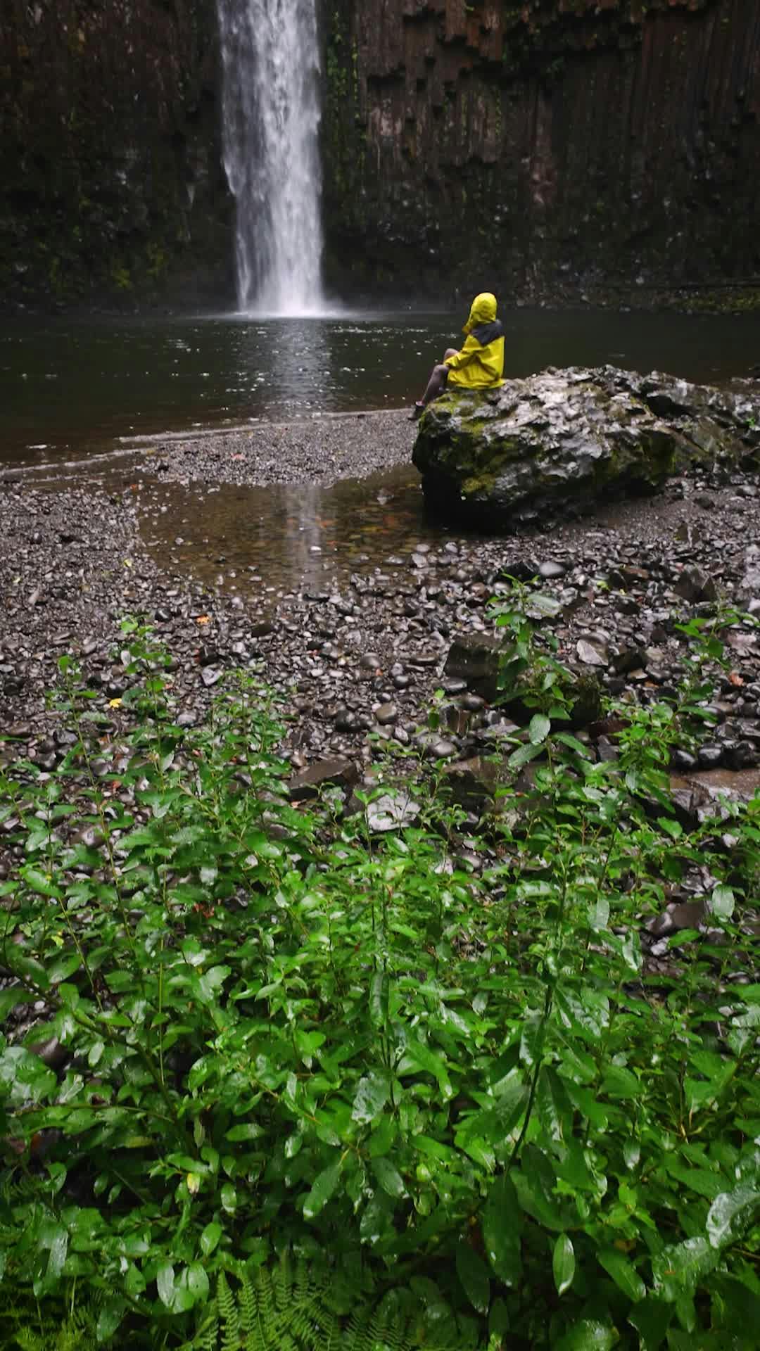 Video by Lukas Rodriguez