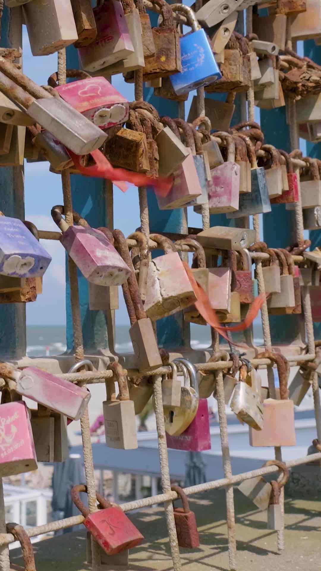 A large number of padlocks on a fence Free Stock Video Footage, Royalty ...