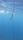 freediving