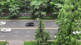 车队队形高清视频免费下载视频素材视频素材视频素材