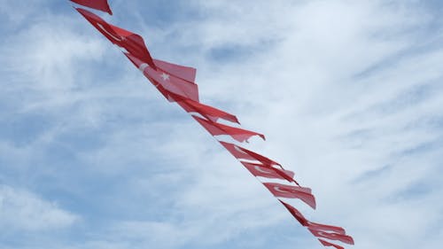 Waving Turkish flags