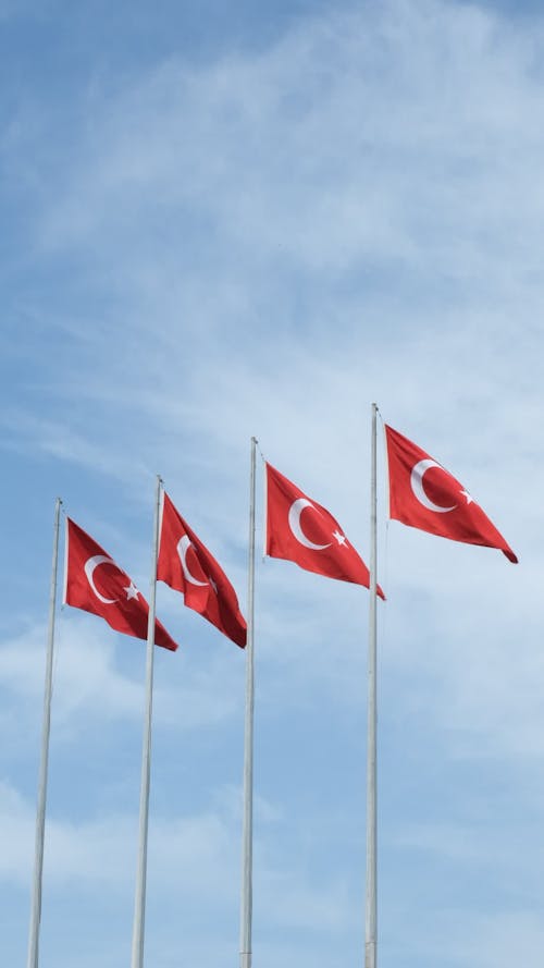 Waving Turkish Flags