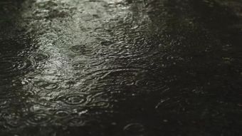 雨景高清视频视频素材