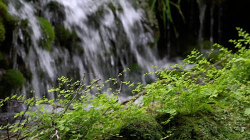 waterfall in forest