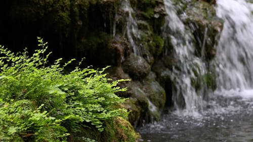 beautiful waterfall in the mountain