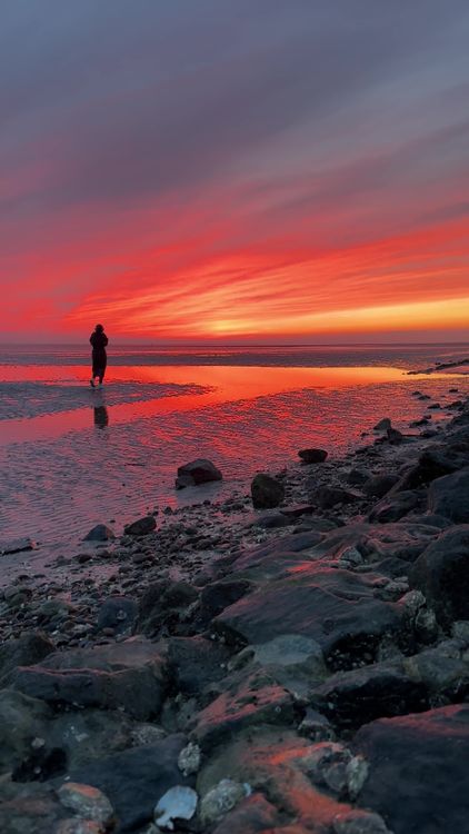 A man walking on the beach at sunset Free Stock Video Footage, Royalty ...
