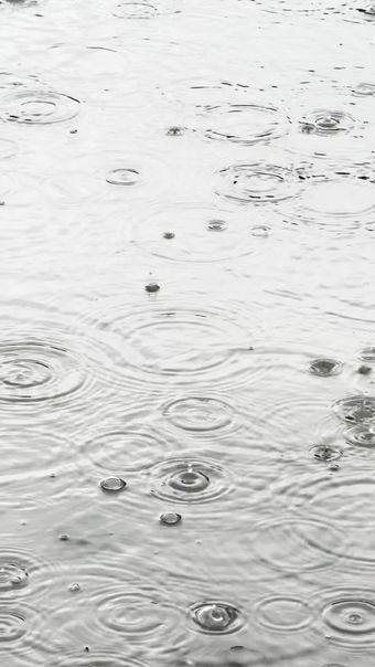 雨珠滴落高清视频高清视频高清视频视频素材