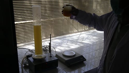 Bull's semen testing in Lab