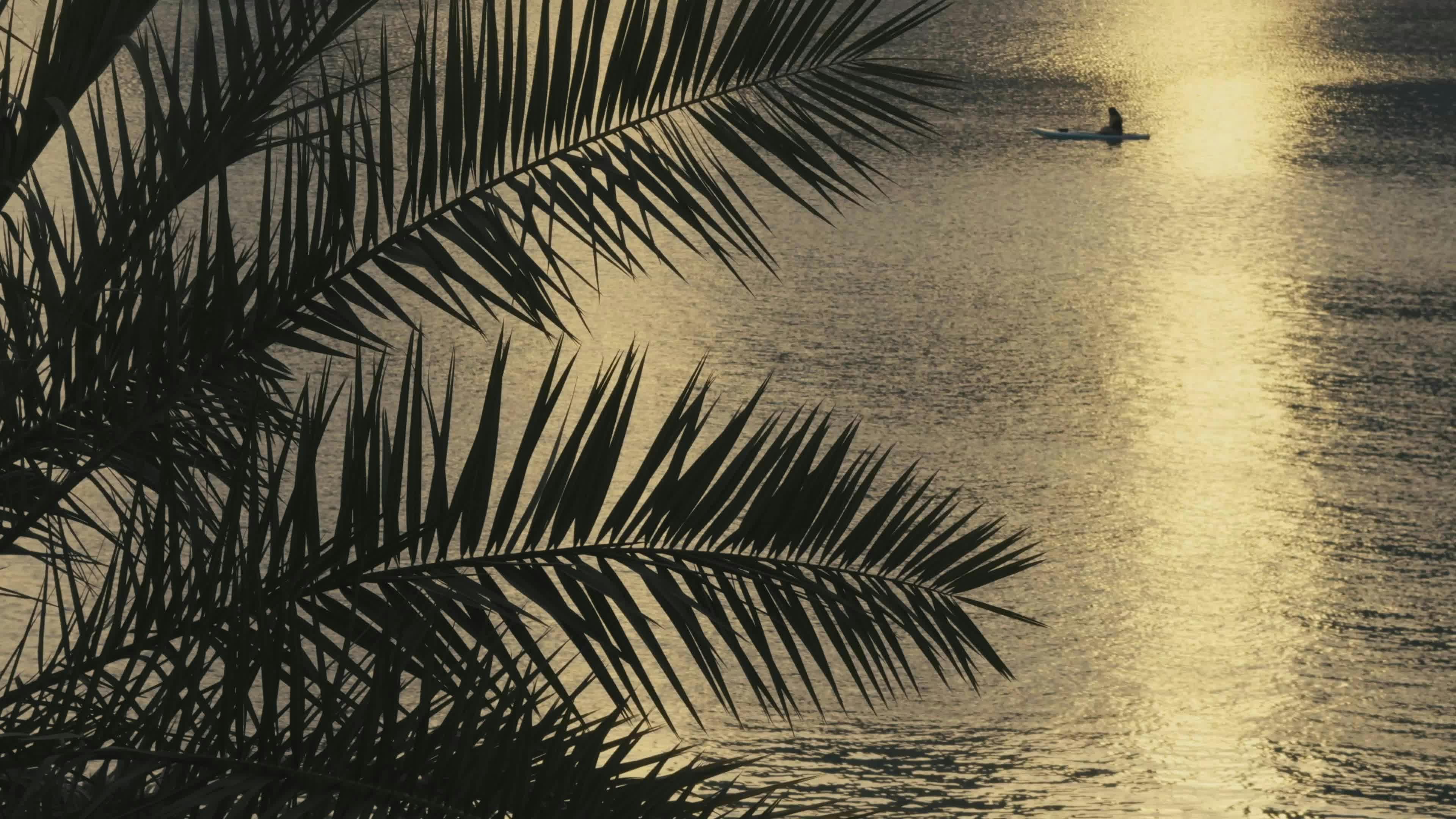 Video by Engin Akyurt