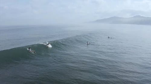 Surfisti Cavalcando Le Onde In Una Giornata Nebbiosa