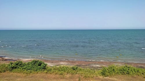 Ambient Seashore Landscape