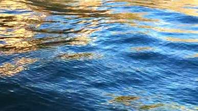 waves on the surface of the water