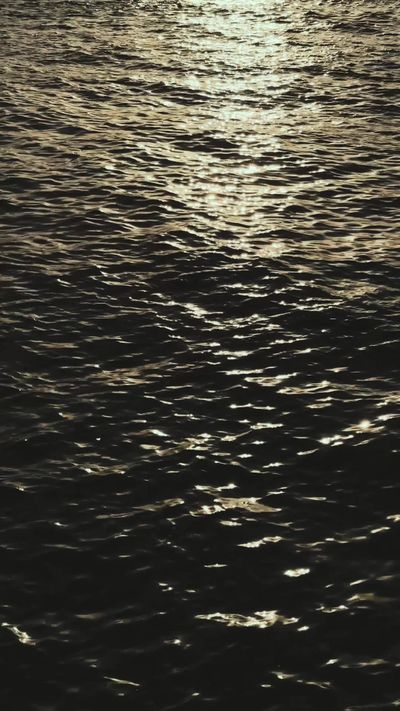 Anh Nguyen's ocean waves sunset video