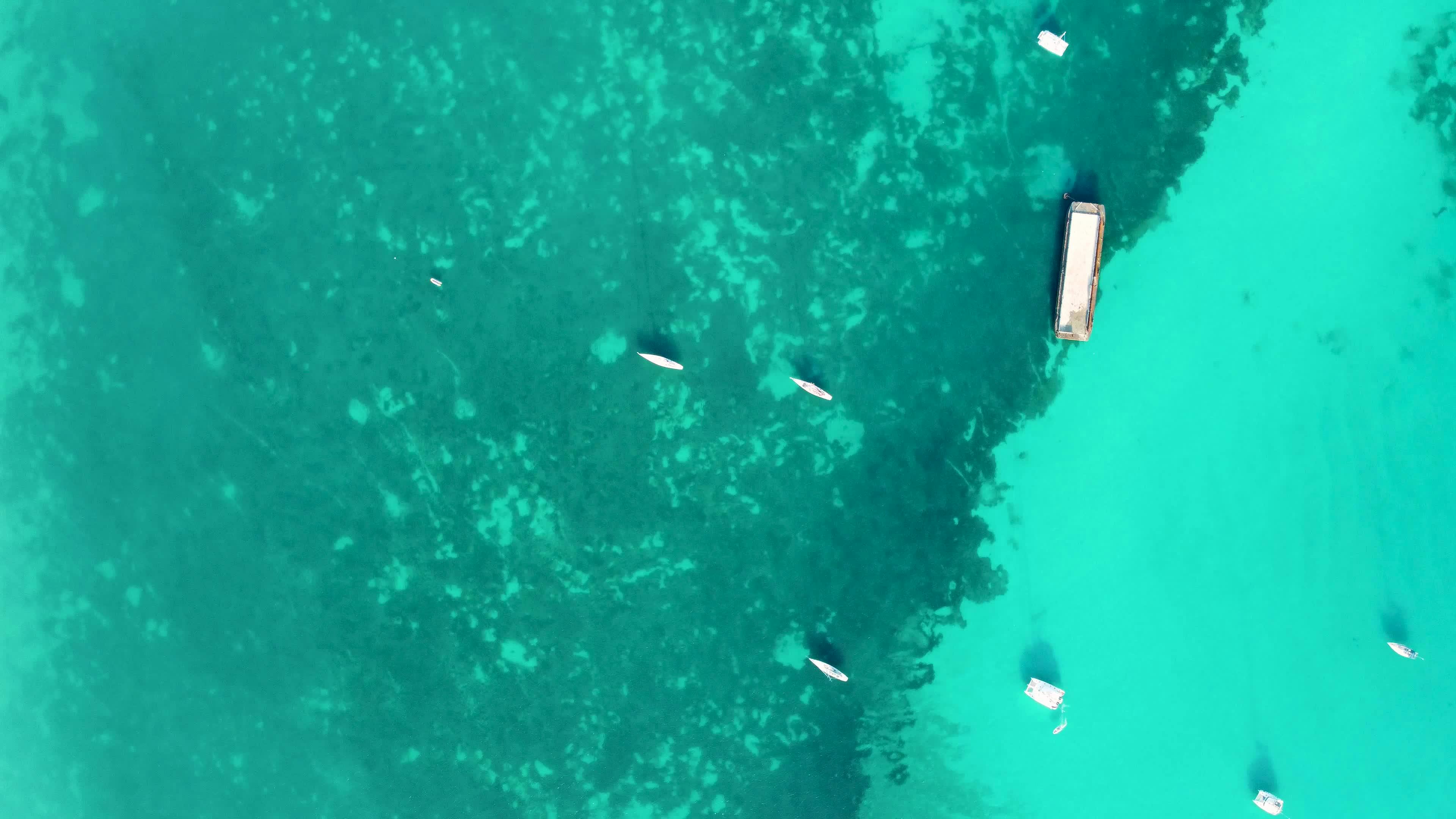 Video by Ярослав  Гарник