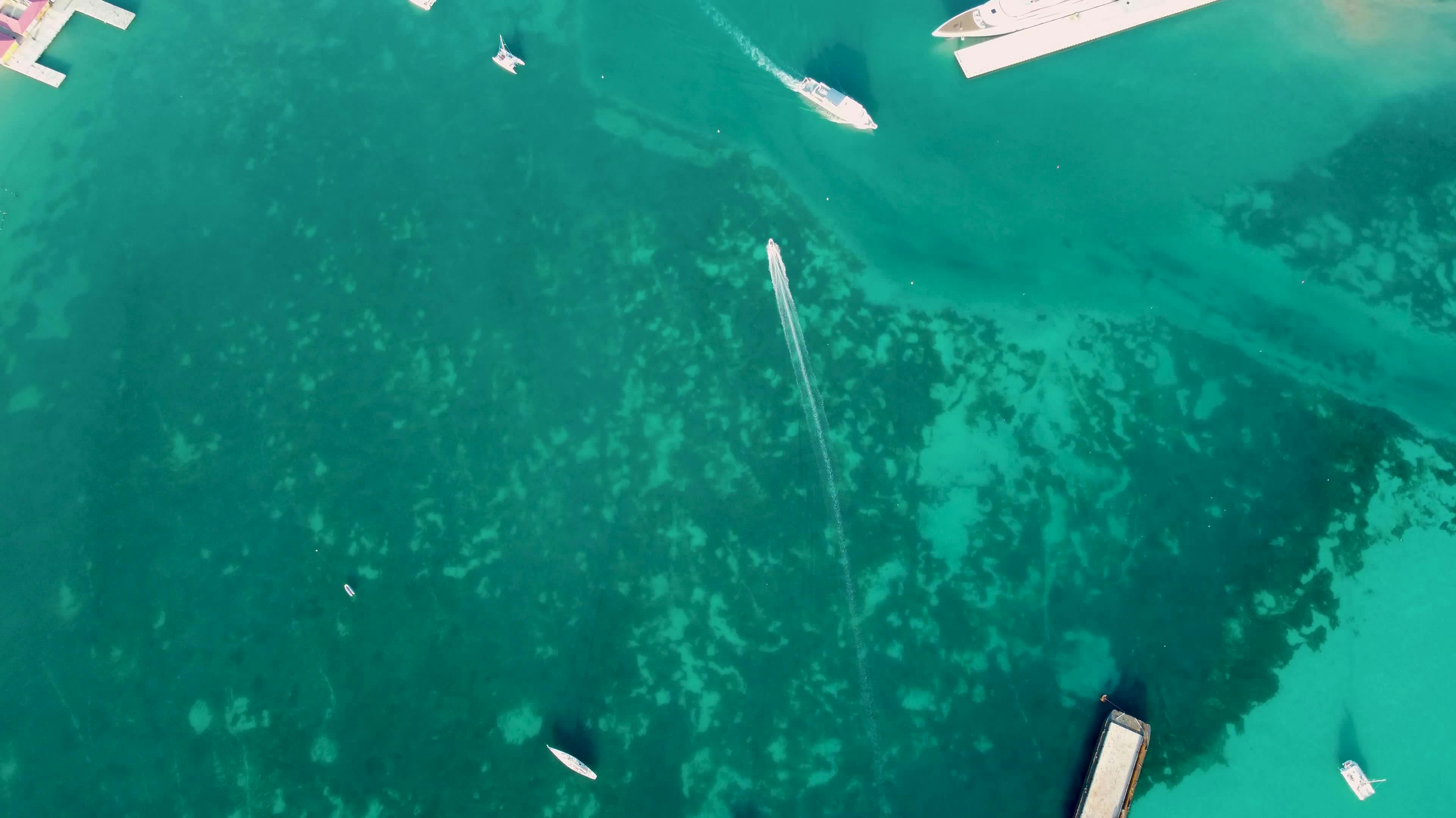 Video by Ярослав  Гарник