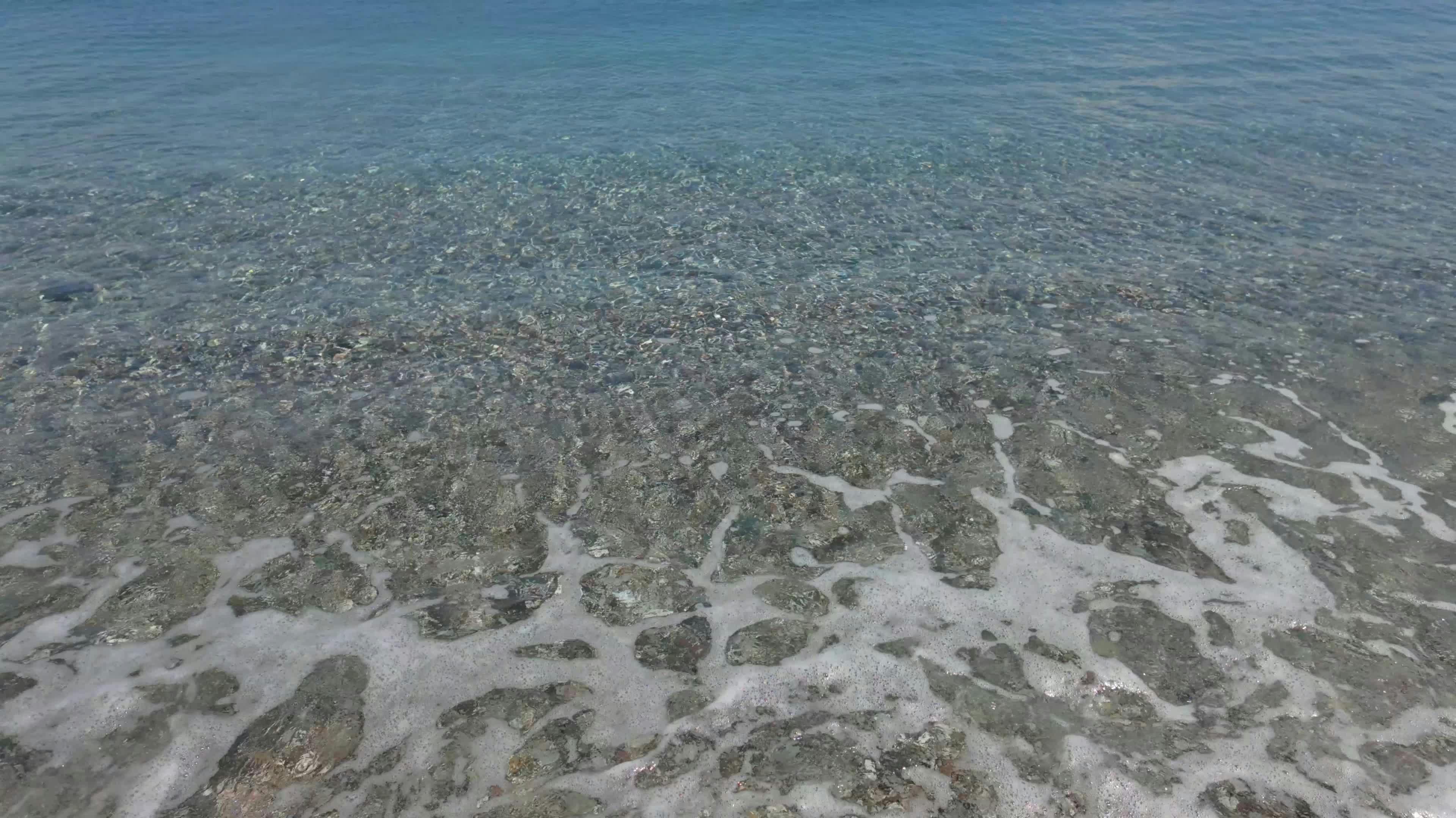 Video by Engin Akyurt