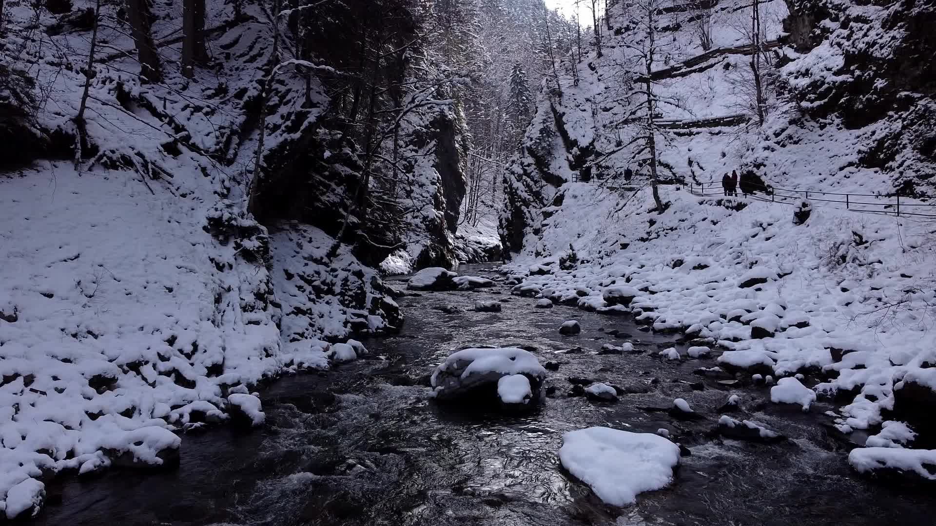 A river running through a snowy forest with rocks Free Stock Video ...