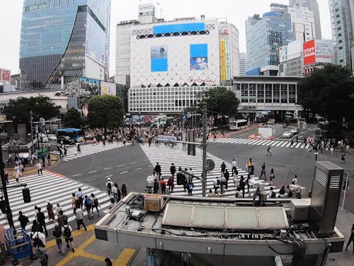 白天在城市街道上的車輛和人交通的延時鏡頭