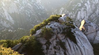 泰山高清视频高清视频视频素材