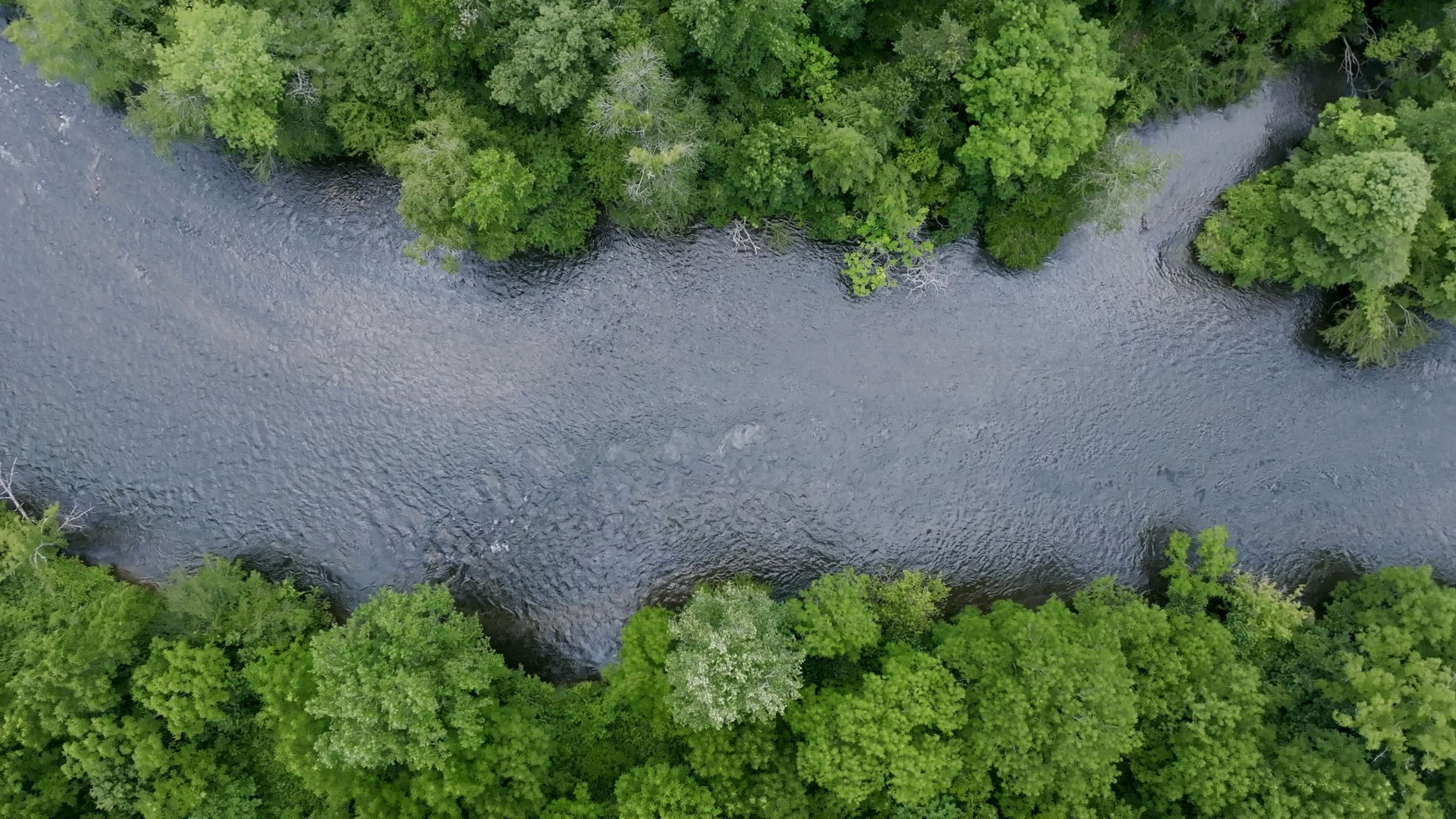 Aerial view of a river in the forest Free Stock Video Footage, Royalty ...