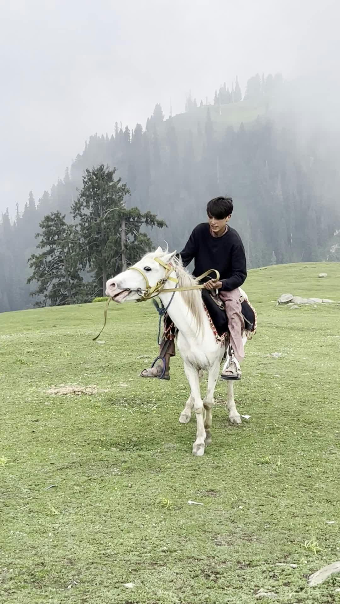 Video by Dr Photographer