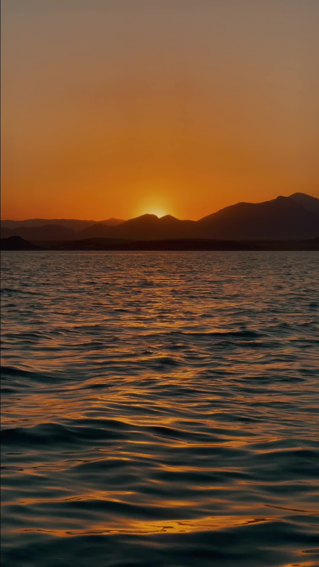 sunshine 27098615