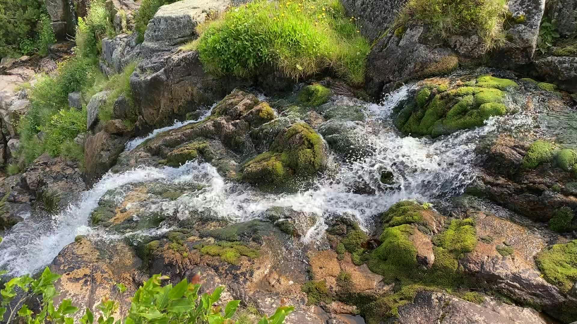 Video by Kasia Sackhonchyk