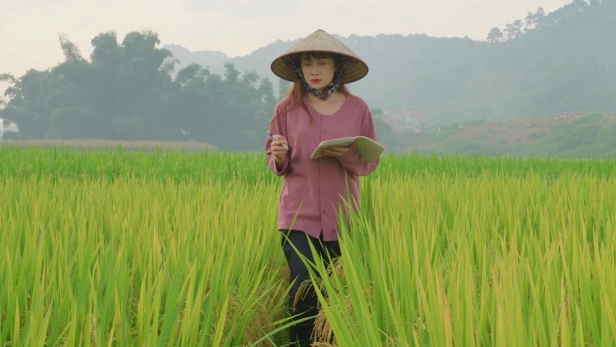 A woman in a hat is standing in a field Free Stock Video Footage ...