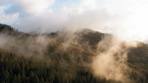 Aerial Footage Of A Mountain Teeming With lush Vegetation