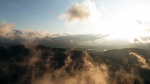 美丽的风景