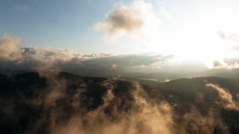 Fog Videos, Download The BEST Free 4k Stock Video Footage & Fog HD ...