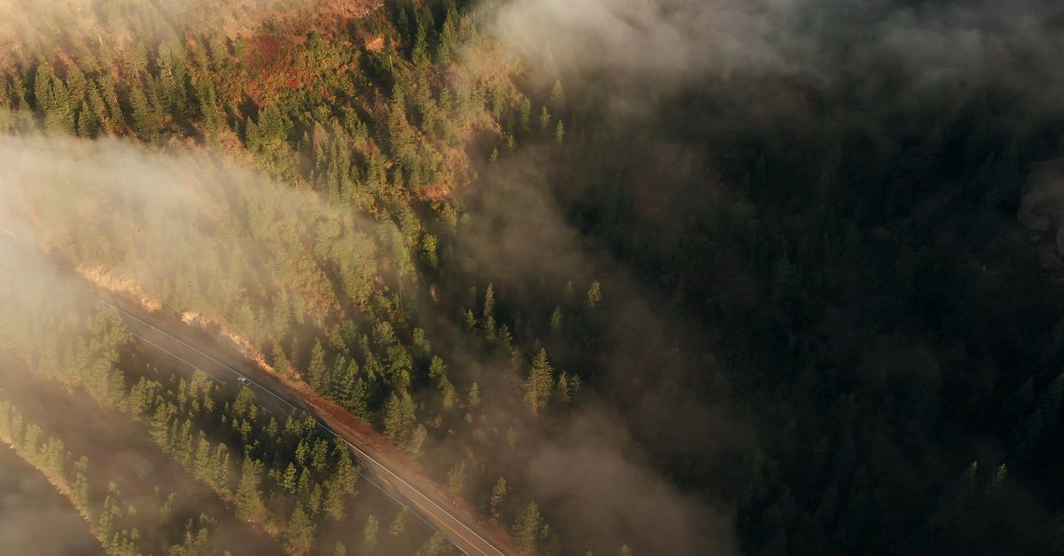 Landscape View Video Aerial View Of A Beautiful Landscape Free Stock Video Footage, Royalty ...