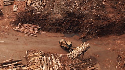 Heavy Equipments In A Lumber Yard