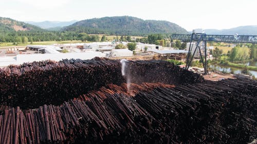 Sprinkling Water On Lumbers In The Lumberyard For Stocks Preservation And Protection