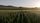 rural
