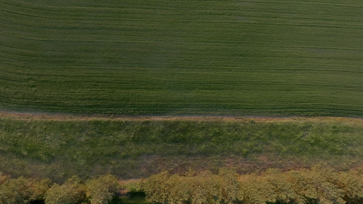 An aerial view of a field with a green grass Free Stock Video Footage ...