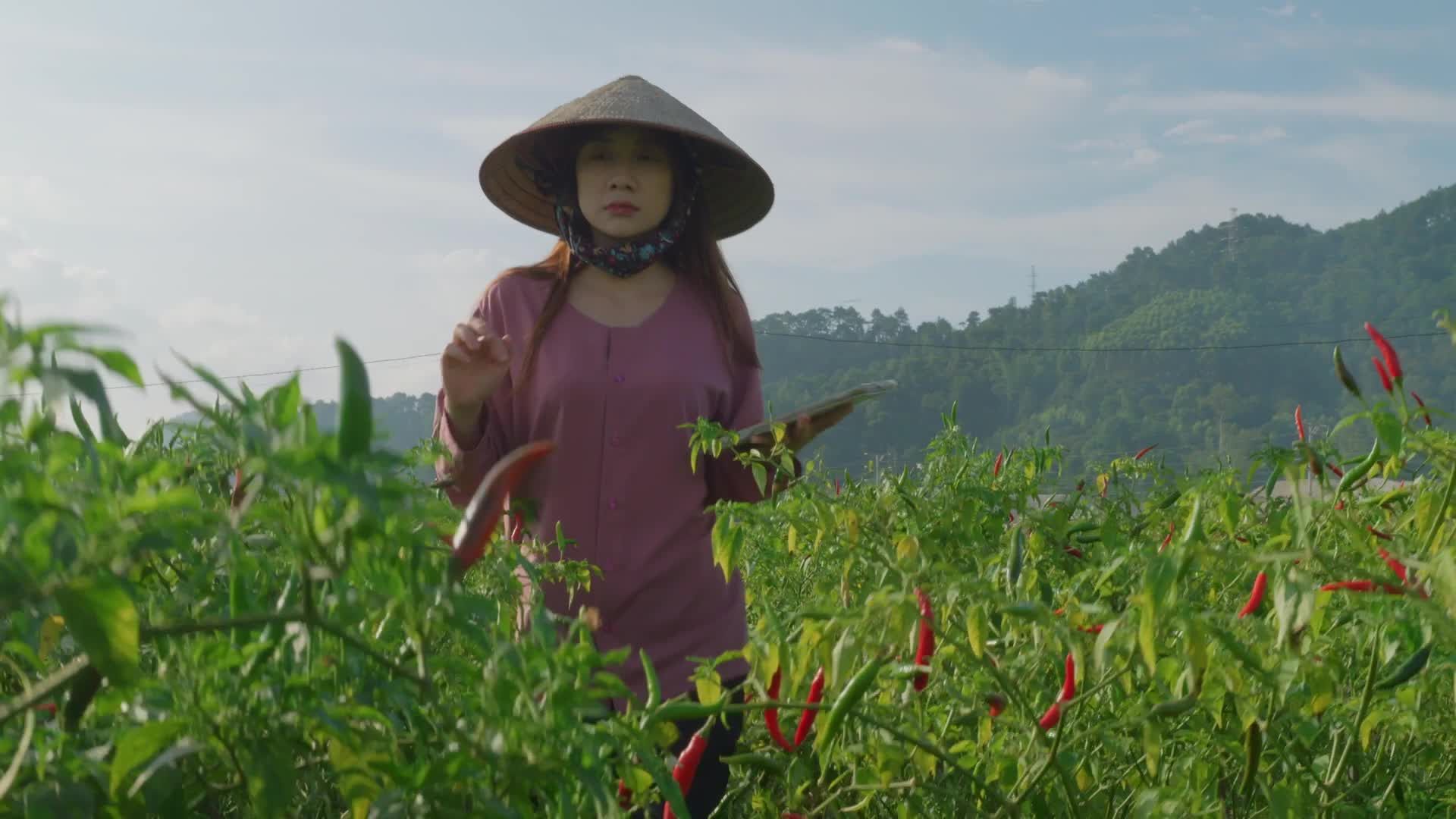Agronomist video