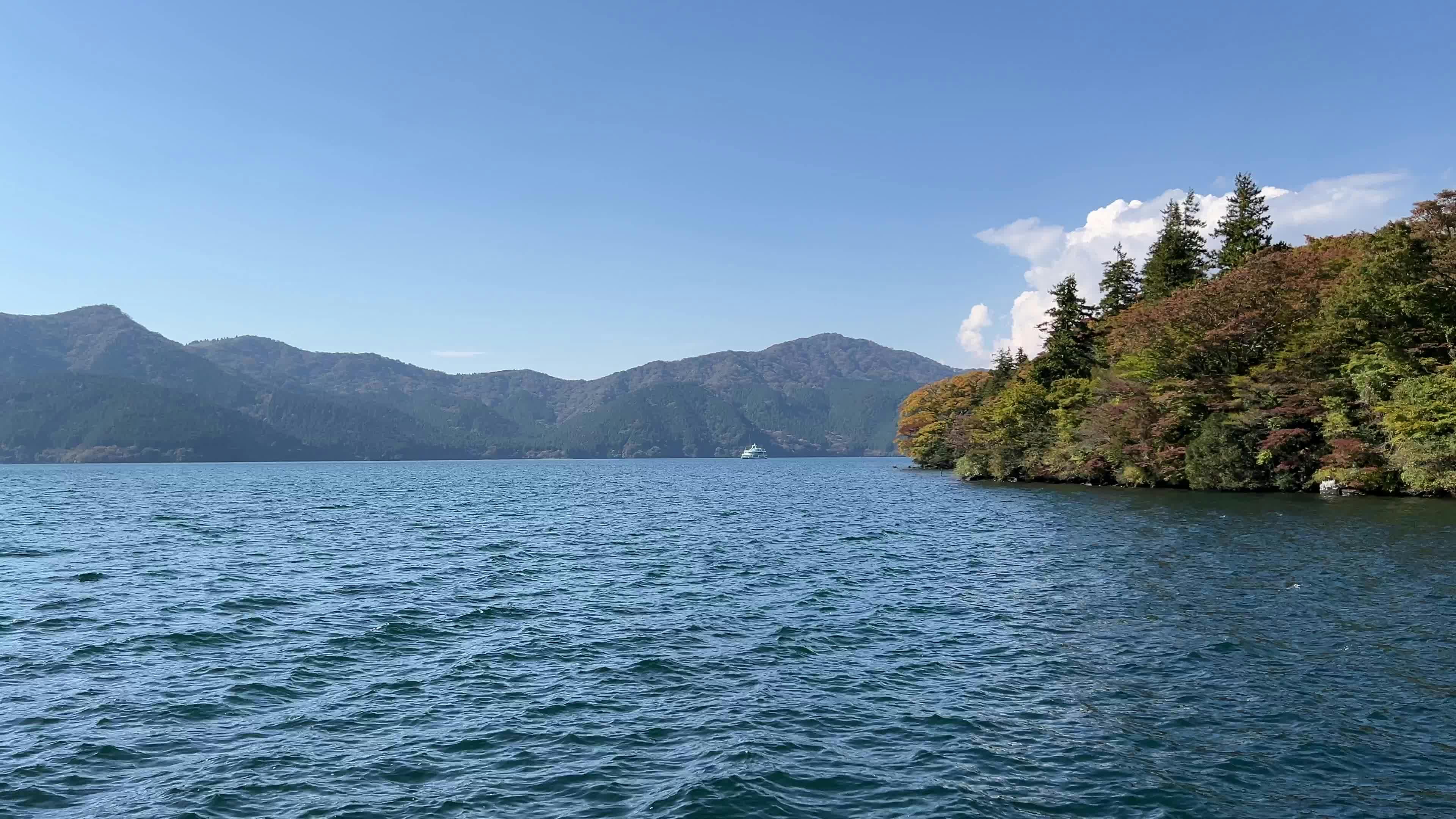 Video by Florian Grewe