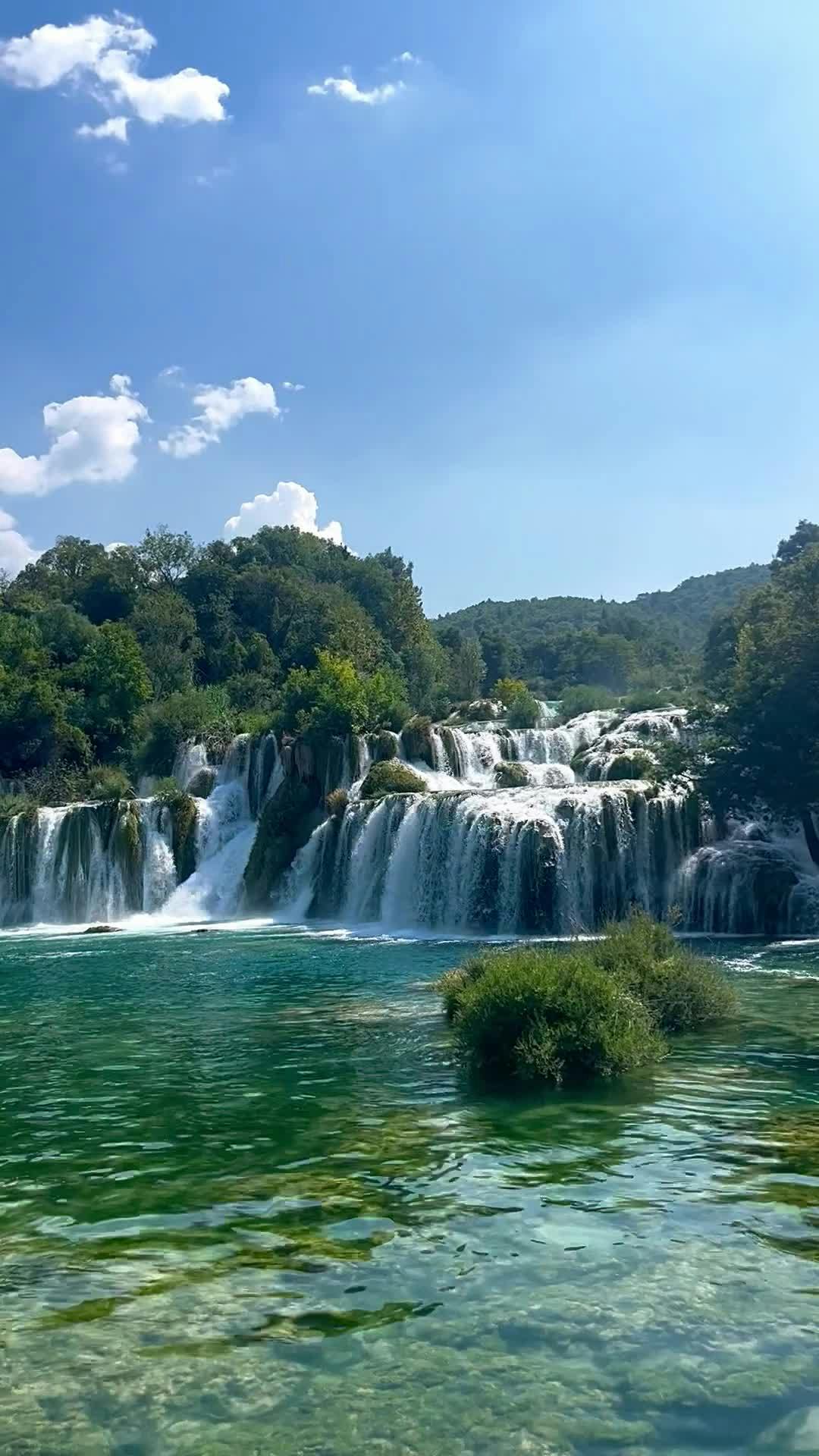 Video by Alycia Zedda