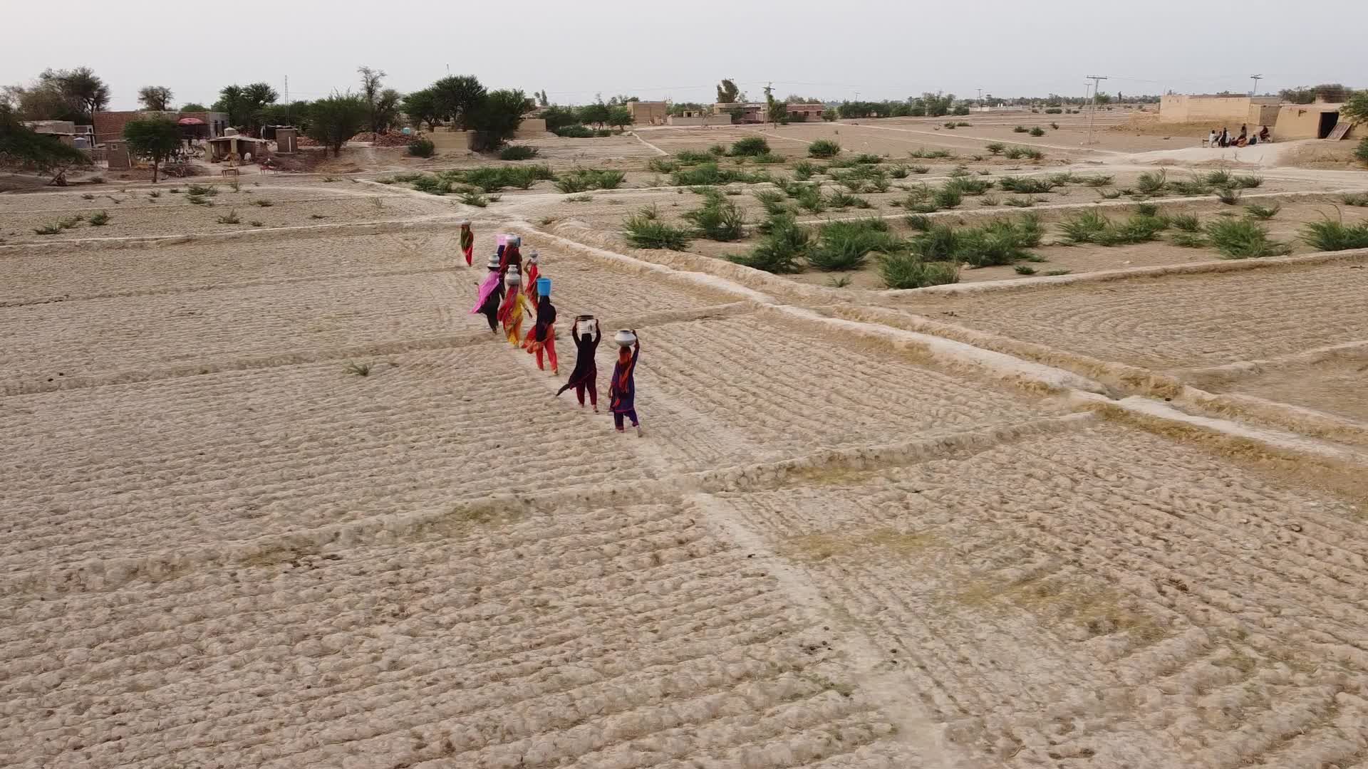 Vídeos de stock gratuitos sobre agricultura, agua, árido, asia, asia ...