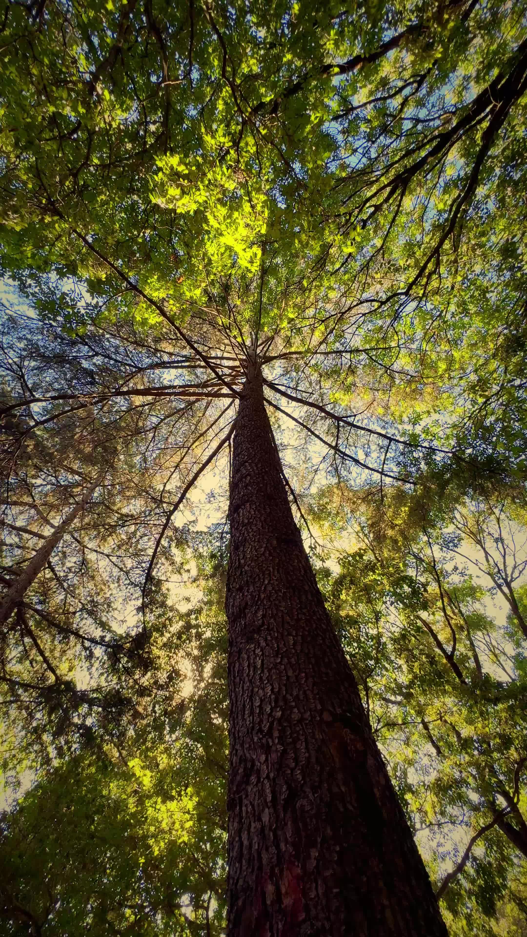 Video by Bay Kadir Oguzhan