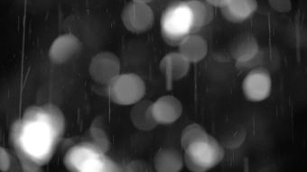 雨水视频视频素材