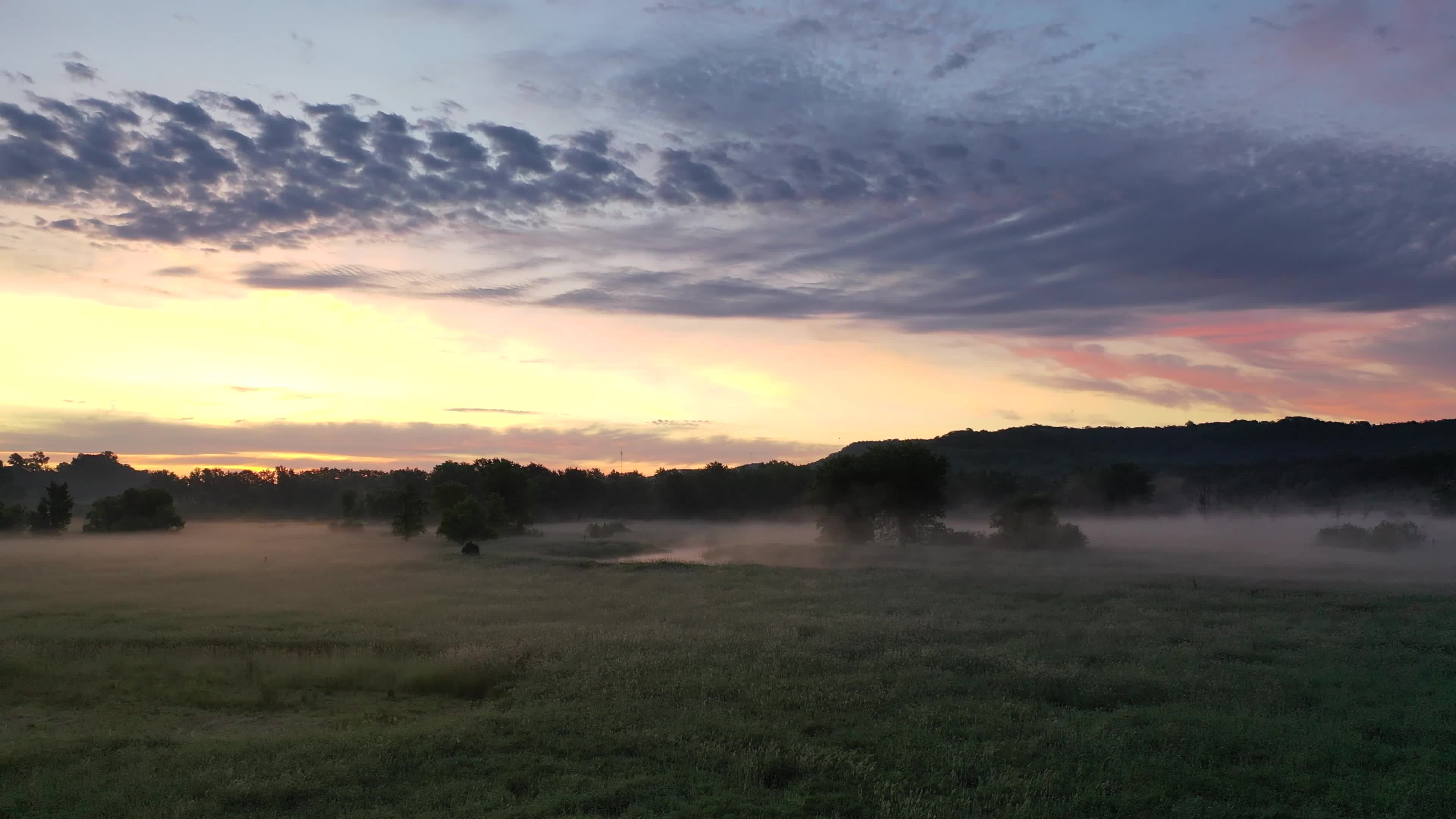 Video by Tom Fisk