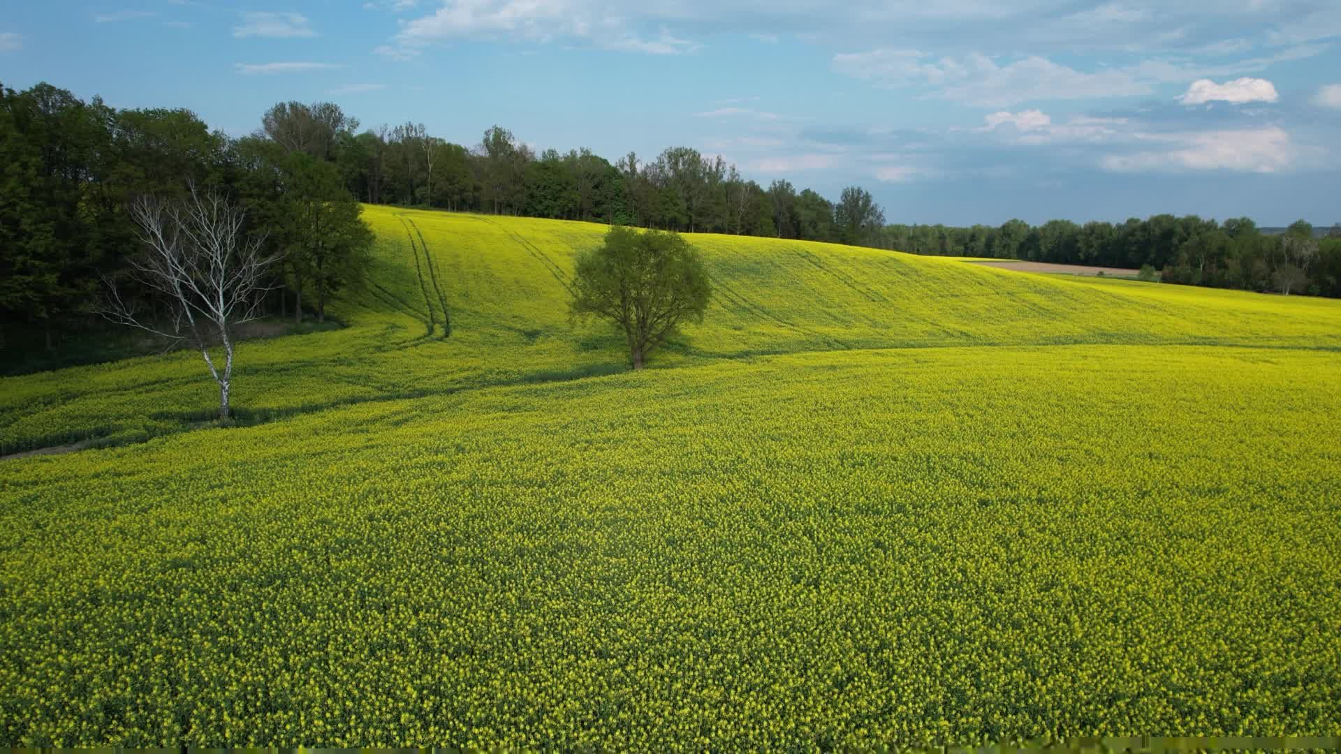 Agriculture rural view of field on wide field of view :) Free Stock ...