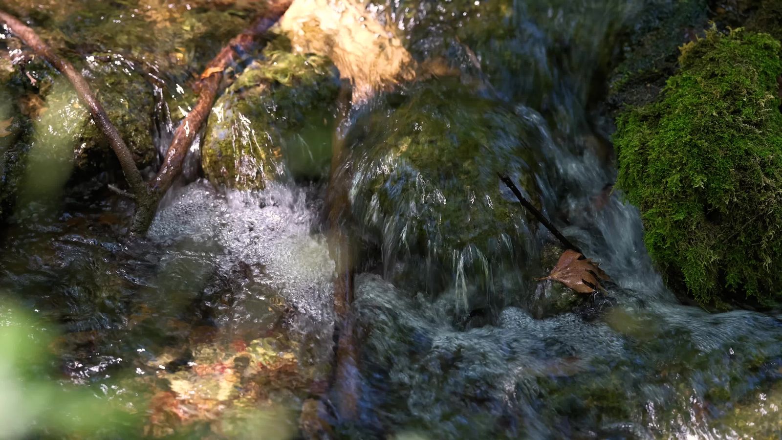 beautiful river in the nature Free Stock Video Footage, Royalty-Free 4K ...