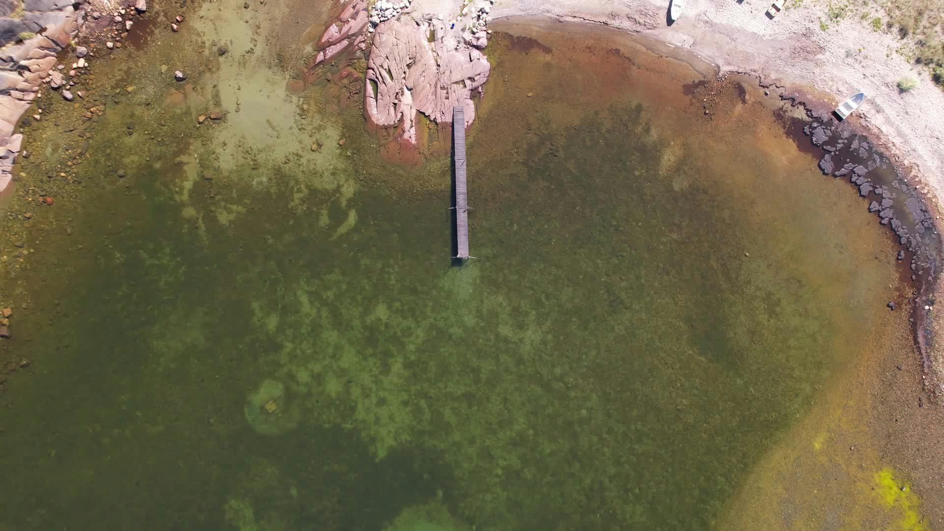 Floating Rabbit – Fotografie